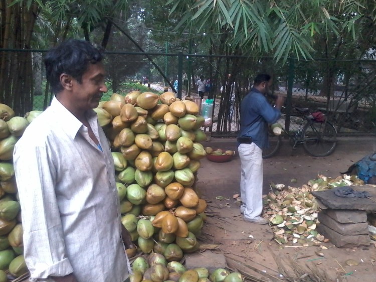 Loco for Coco