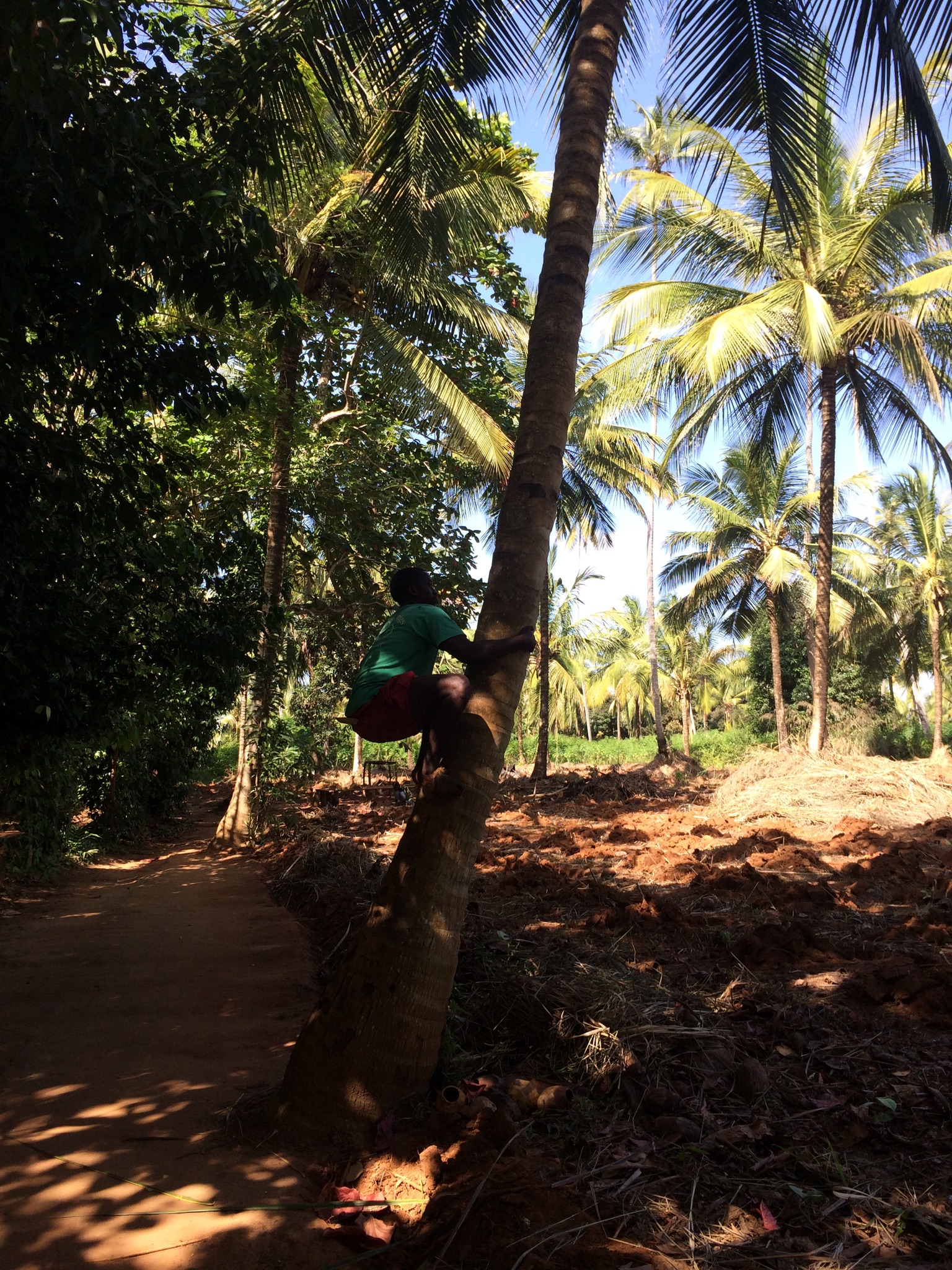 6E047507-5314-440B-93F1-FBA02CFA27F8