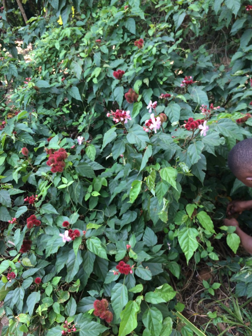 BA415FFE-C2D9-43FB-97D4-46DEFCDDB1C3